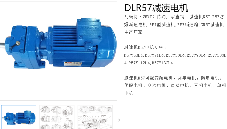 減速電機(jī)DLR57-29-Y290S-4-M6-R-1.1KW型號(hào).png